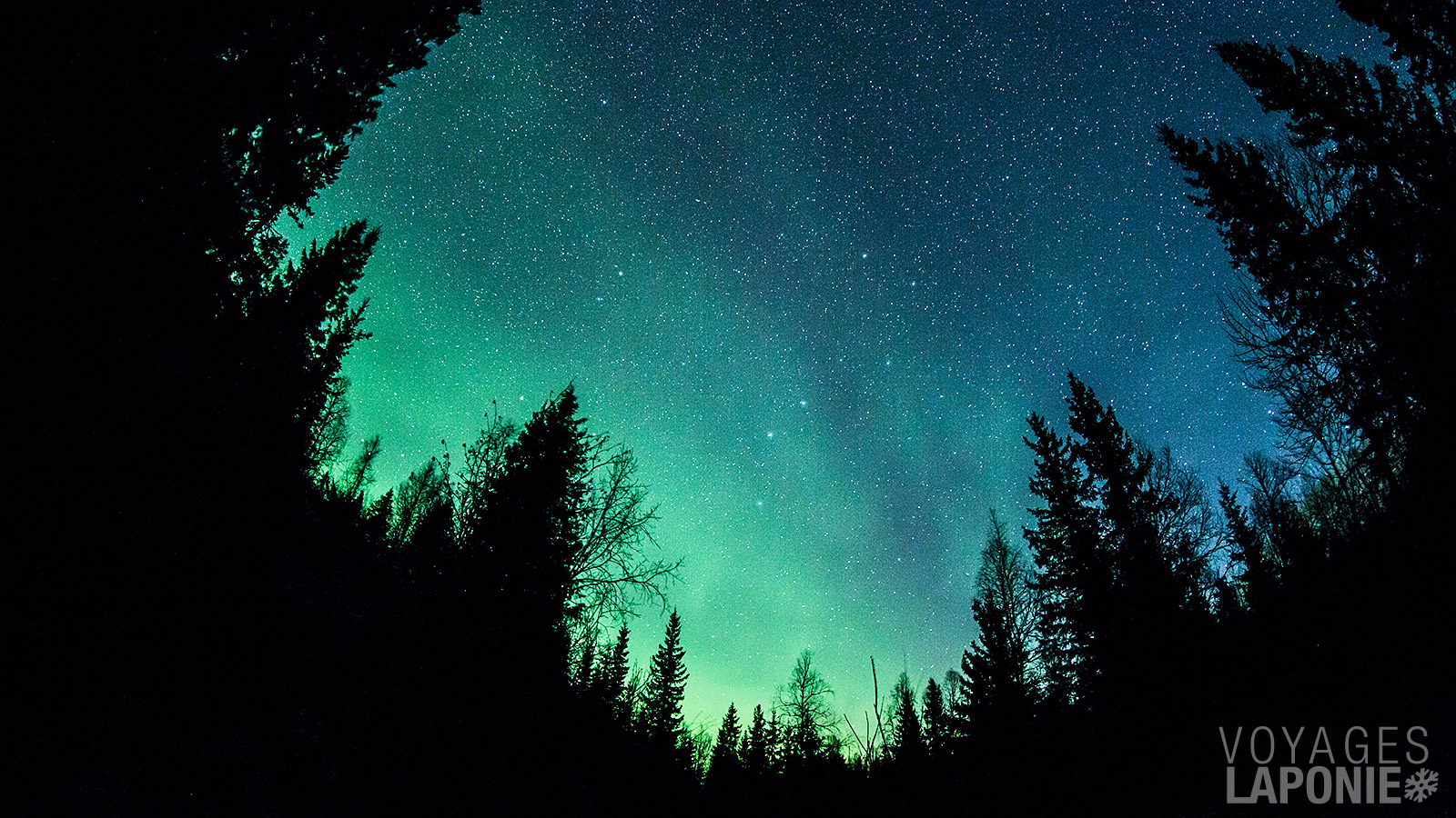 Et avec un peu de chance, le ciel de Laponie s’illuminera pour vous offrir le spectacle inoubliable des aurores boréales