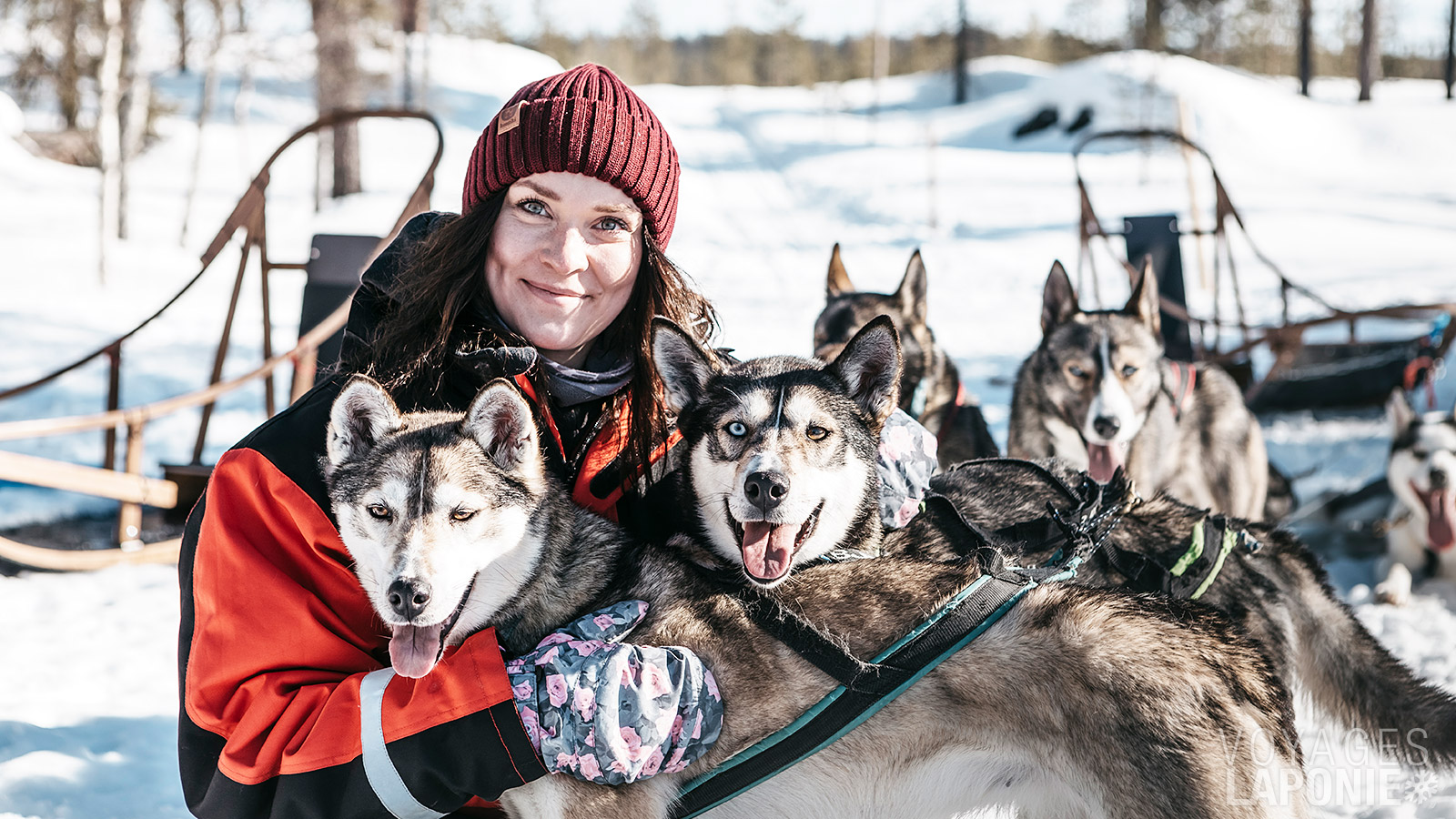 Après l’activité, vous pourrez profiter d’un moment câlin avec les huskies