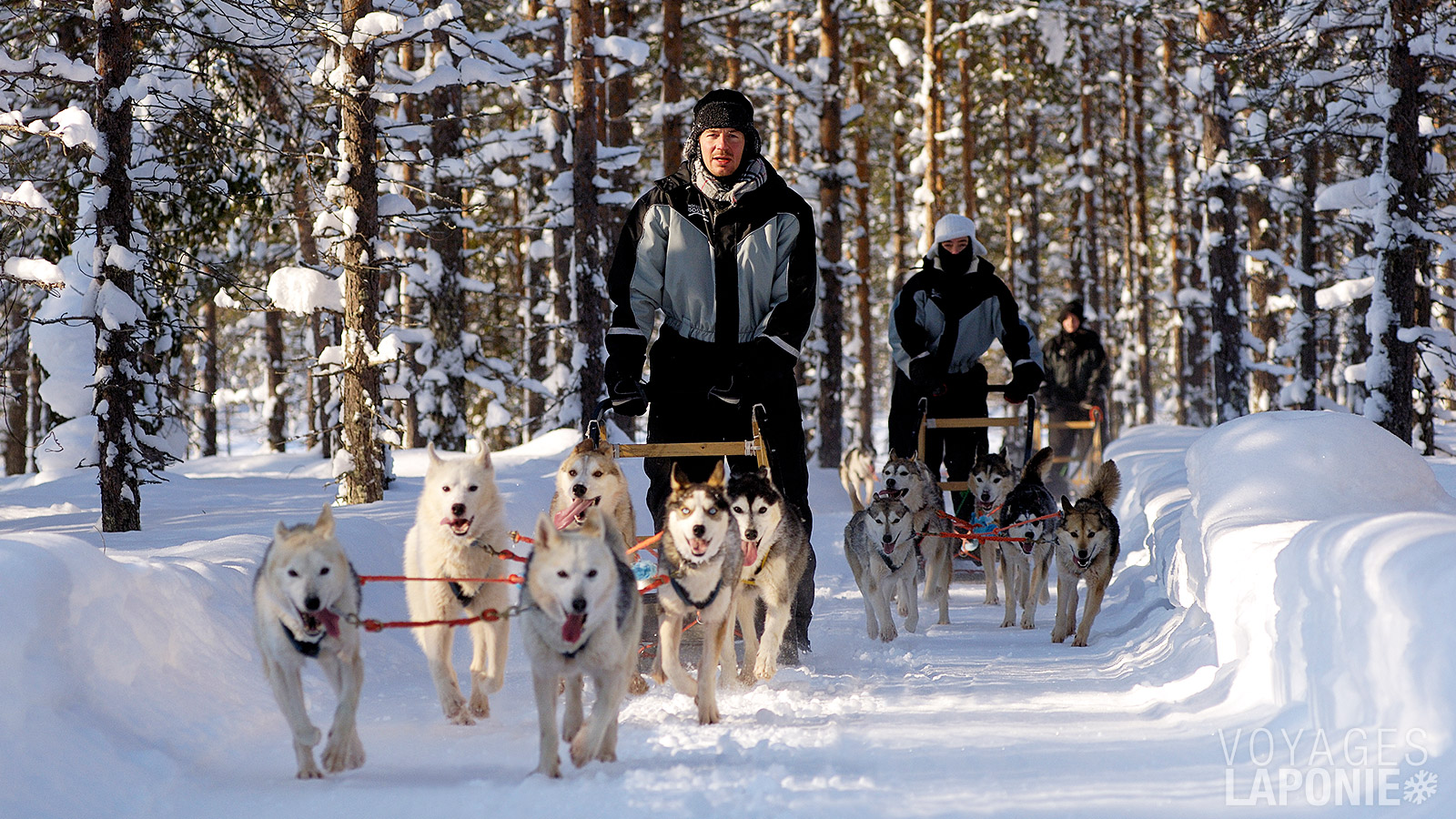 Partez avec les huskys pour un safari exceptionnel de 25 km à travers les paysages enneigés