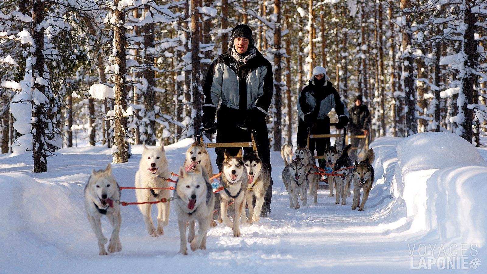 Le silence autour de vous lors de la balade en traîneau à huskys est impressionnant