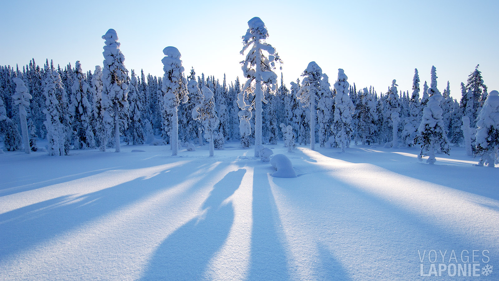 Les chalets d’Iso Syöte sont entourés d’une nature préservée avec des étendues de neige immaculée, des lacs et des forêts