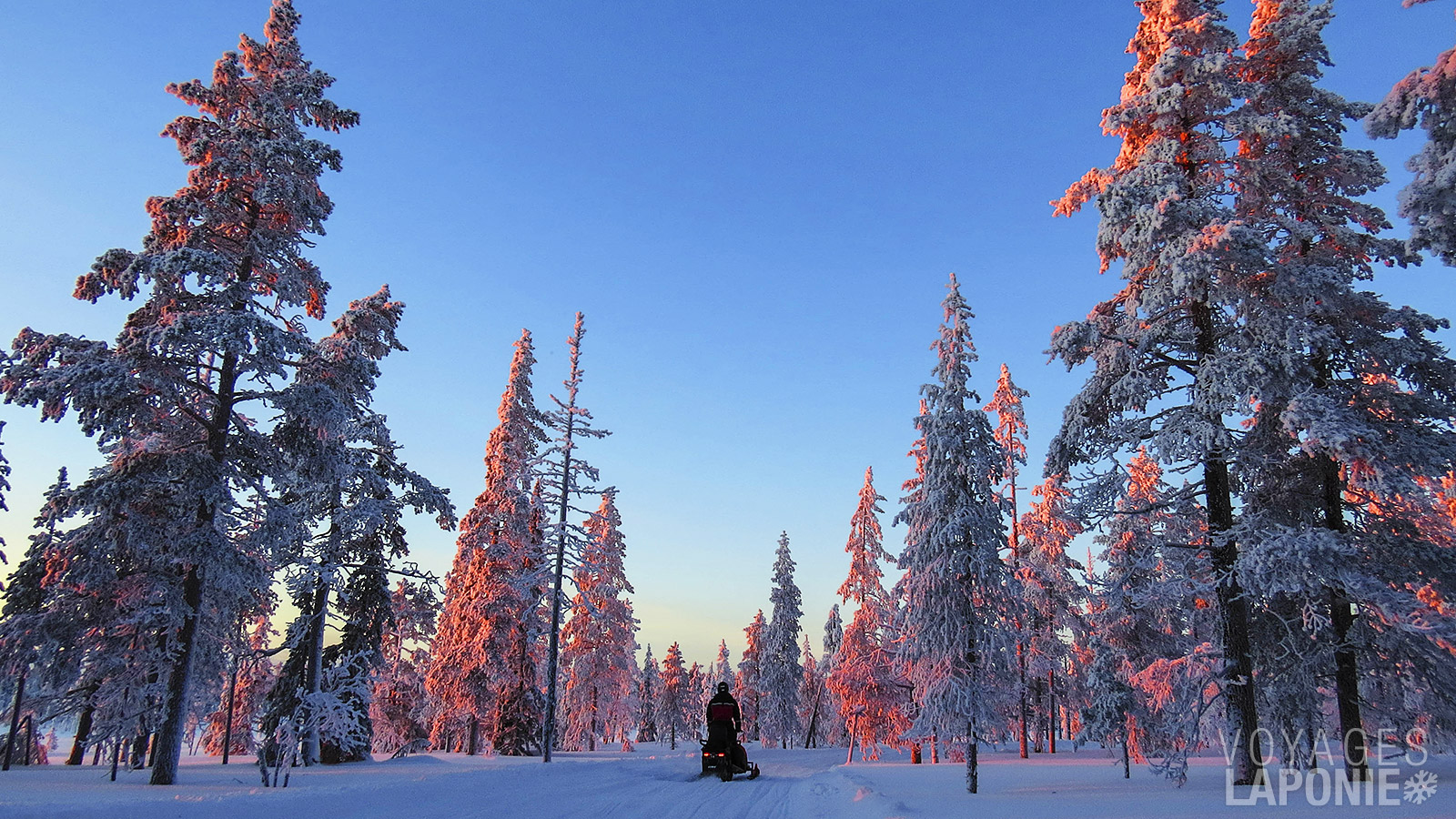 Le nord de la Finlande est l’un des rares endroits sur terre où la nature est encore préservée