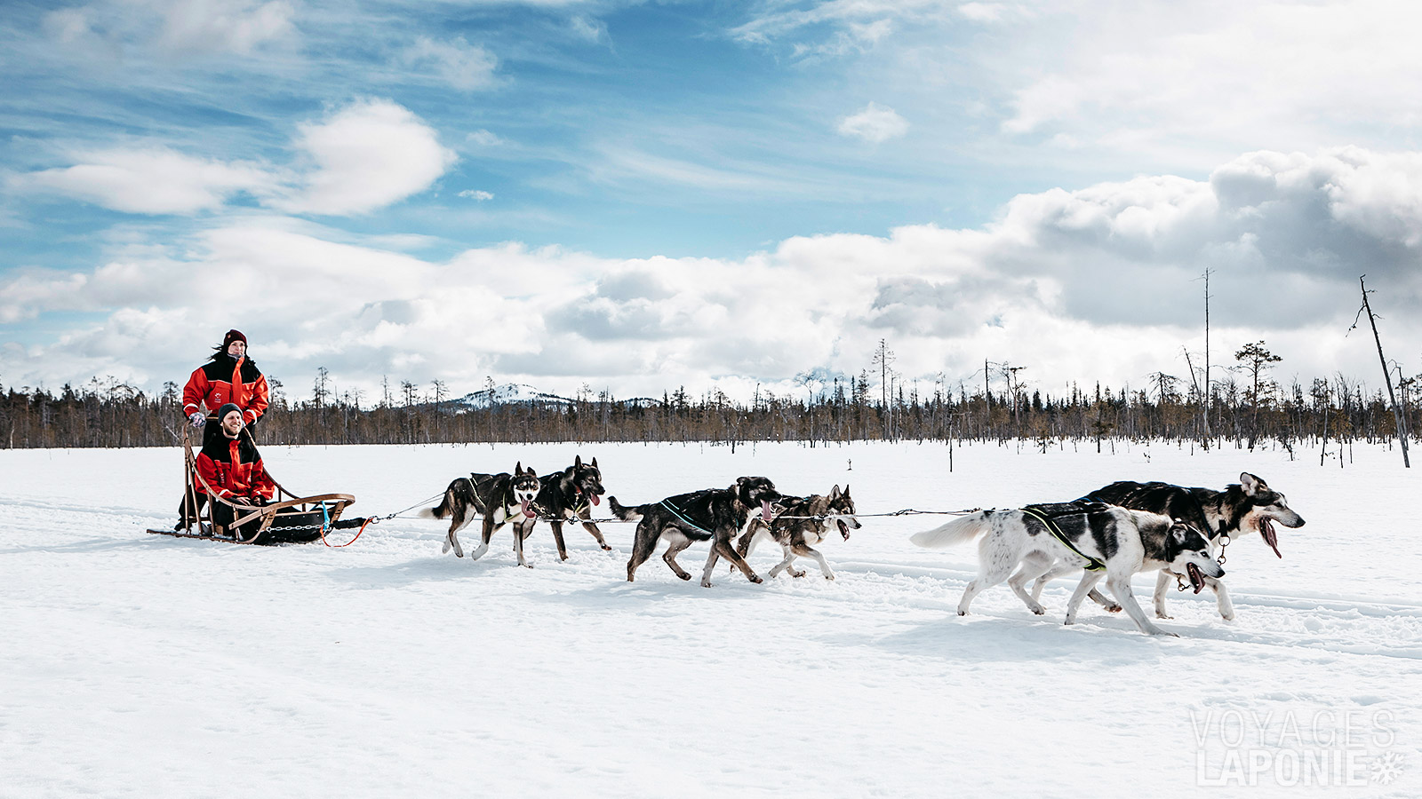 Conduisez vous-même le traîneau et travaillez en équipe avec les huskys lors d’un safari
