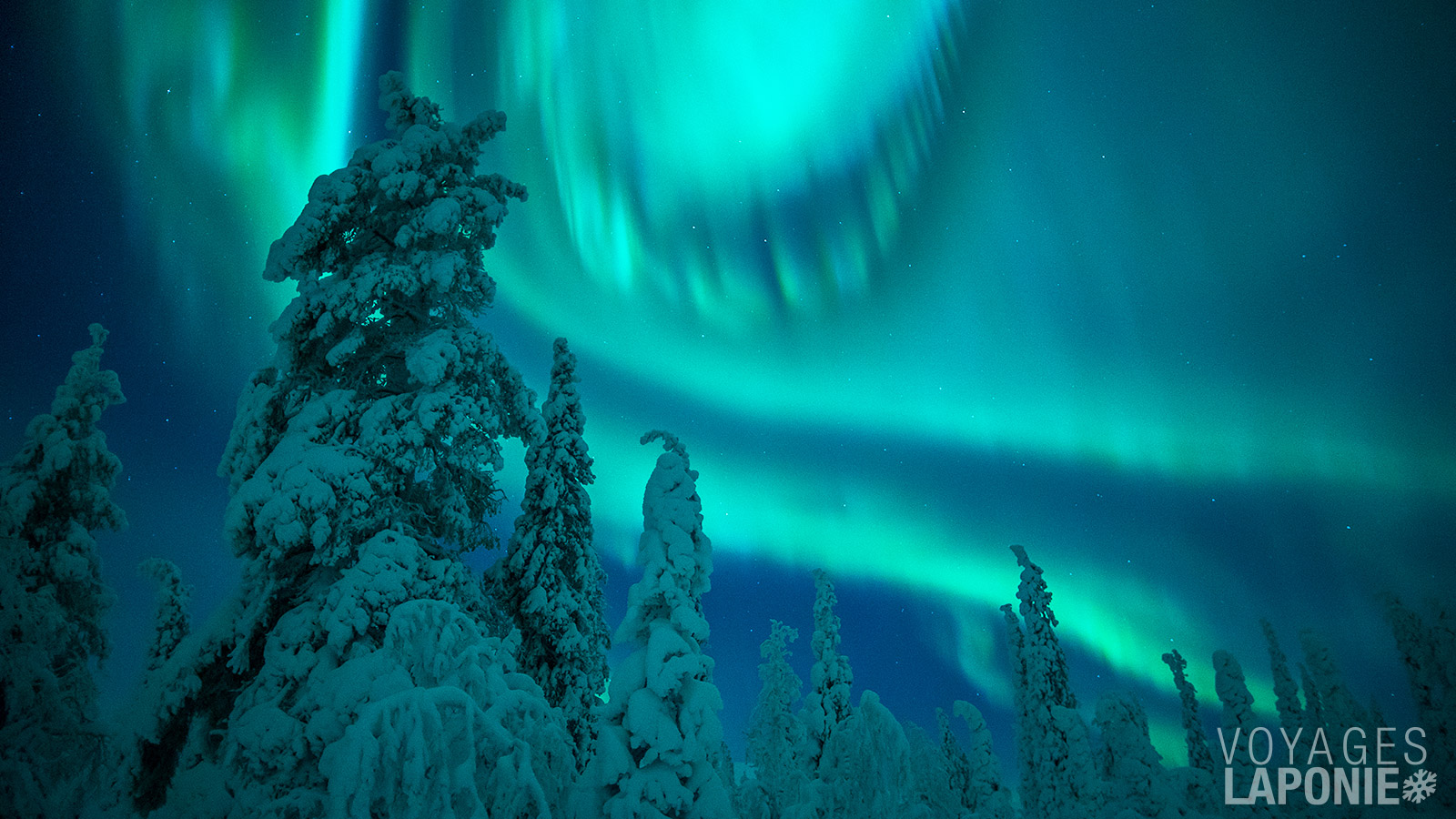 Les aurores boréales sont l’un des spectacles naturels les plus fascinants du Grand Nord
