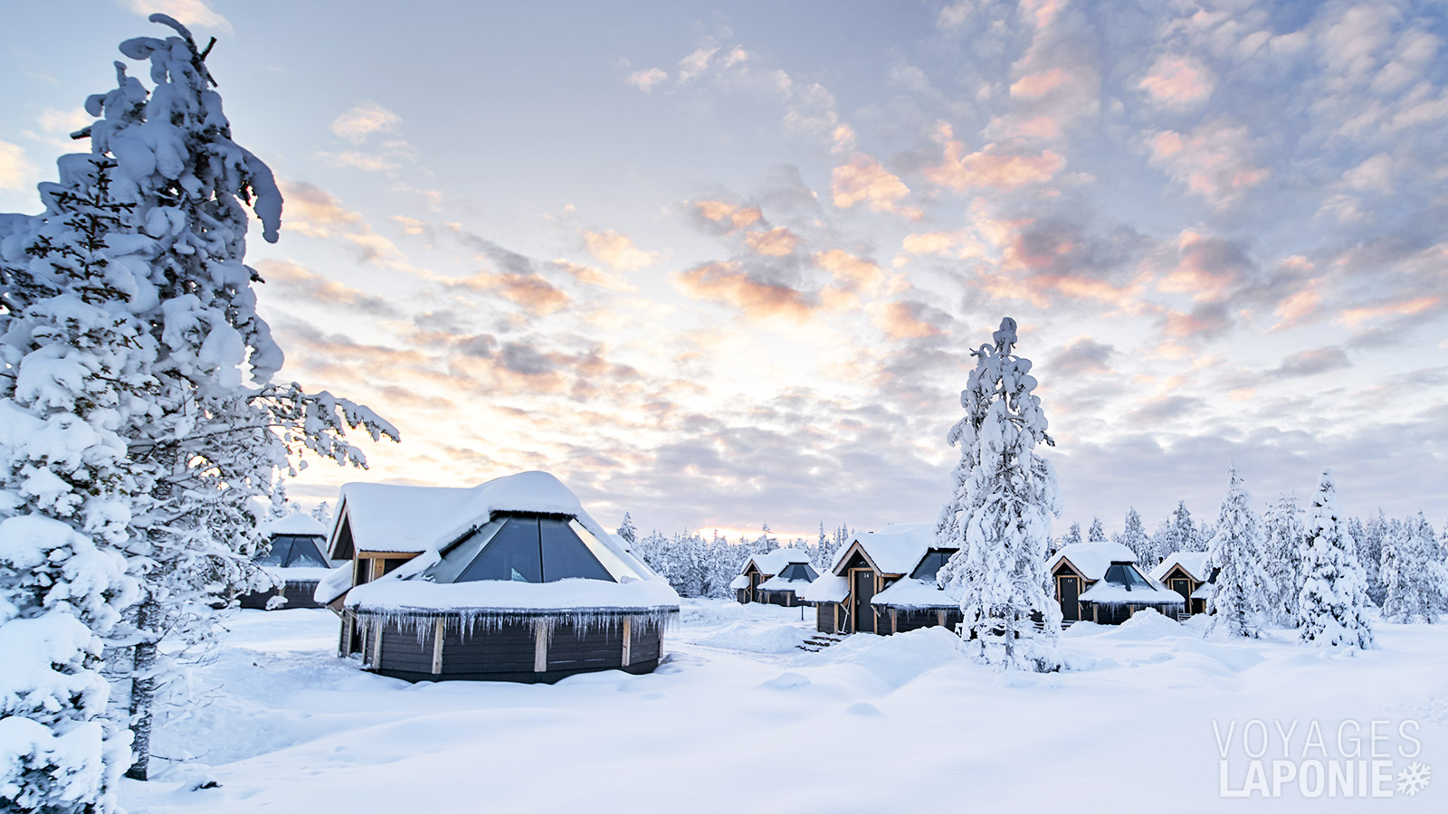 L’établissement compte 40 Aurora Cabins, toutes situées à proximité du bâtiment principal