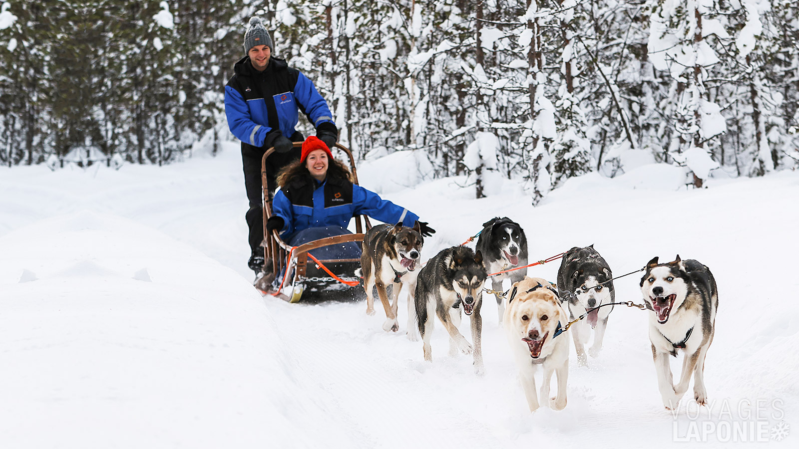 Une randonnée en traîneau à huskys de 10 km te fera traverser des forêts et des marais gelés