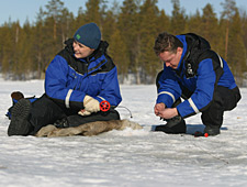 En cours de journée, vous ferez aussi halte sur un lac gelé pour une partie de pêche au trou