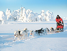 vacances en laponie hivernale