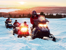 Harriniva Powder Pro - 5 jours