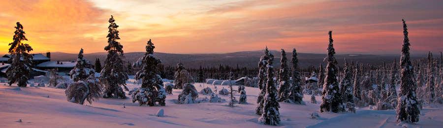 Jeris - Le meilleur de la Laponie | 8 jours