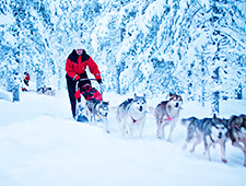 La randonnée de 2 jours vous emmènes à travers des bois enneigés et des lacs gelés jusqu'à la frontière du Parc National de Pallas-Ylläs