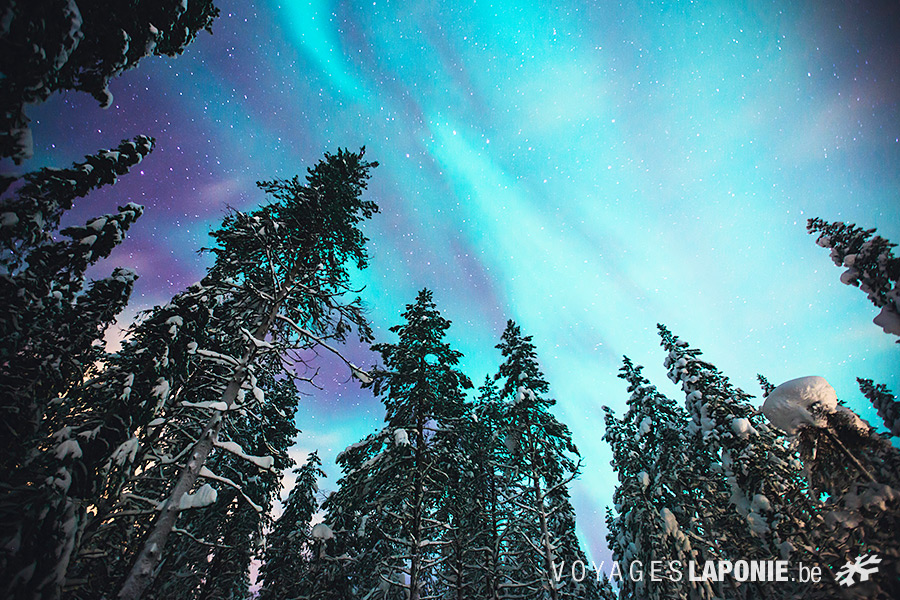 Point d'orgue de votre voyage en Laponie : l'aurore boréale